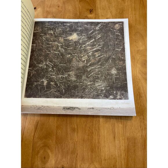 ANSELM KIEFER STELLE CADENTI, DANILO ECCHER, ART BOOK, ITALIAN TEXT - Picture 2 of 3